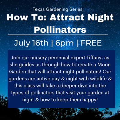Texas Gardening Series : Night Pollinators