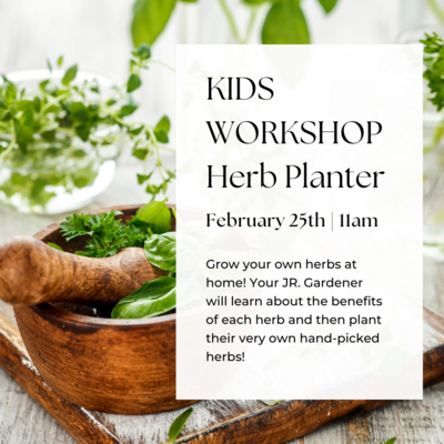 Kids Workshop | Herb Planter | February 25th
