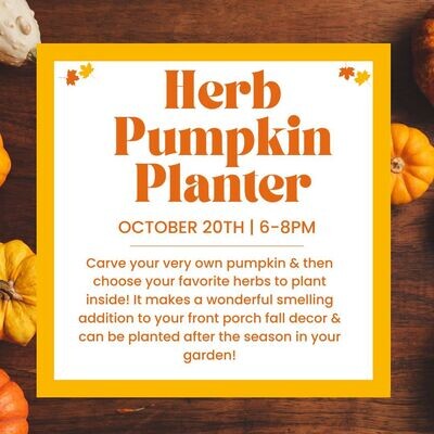 Herb Pumpkin Planter