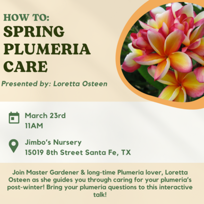How To: Spring Plumeria Care