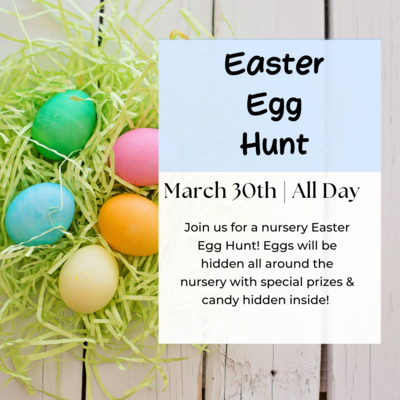 All Day Easter Egg Hunt
