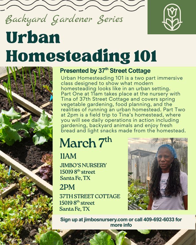 Urban Homesteading 101