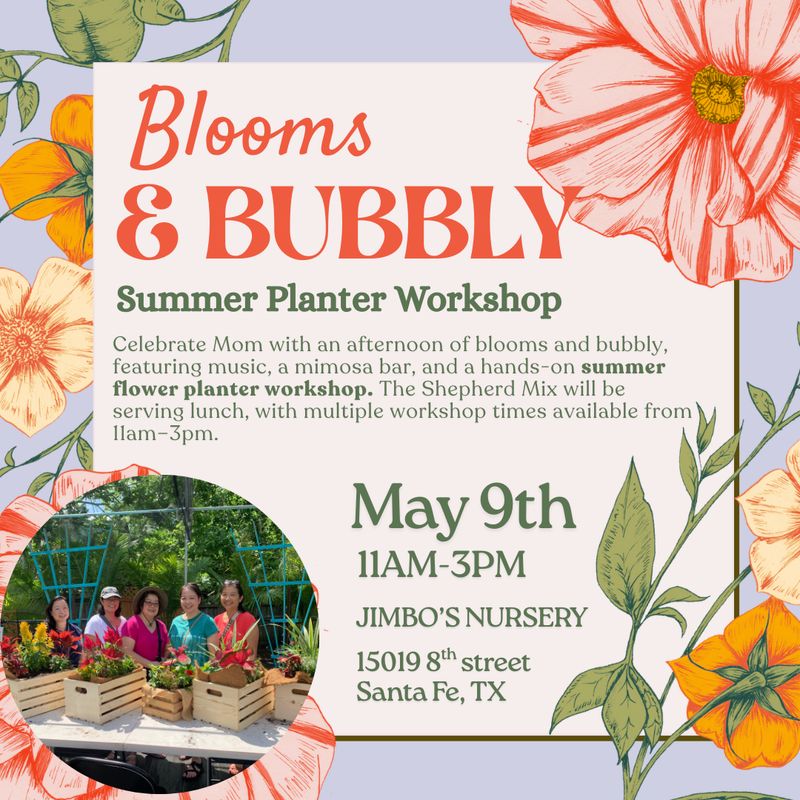 Blooms &  Bubbly: Summer Planter