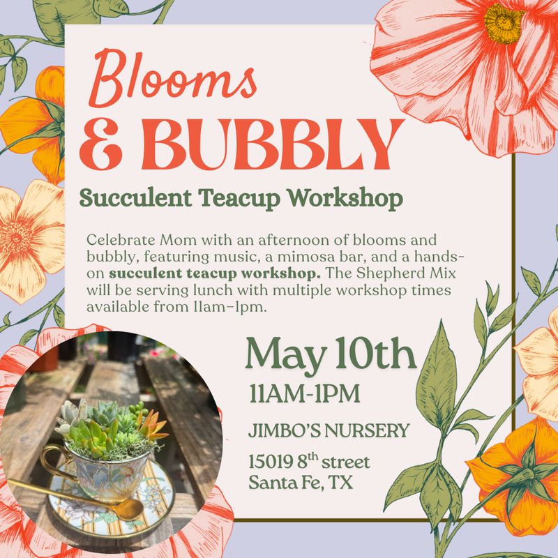 Blooms &  Bubbly: Succulent Teacup Workshop