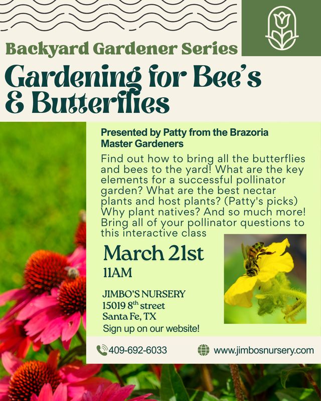 Gardening for Bee's & Butterflies