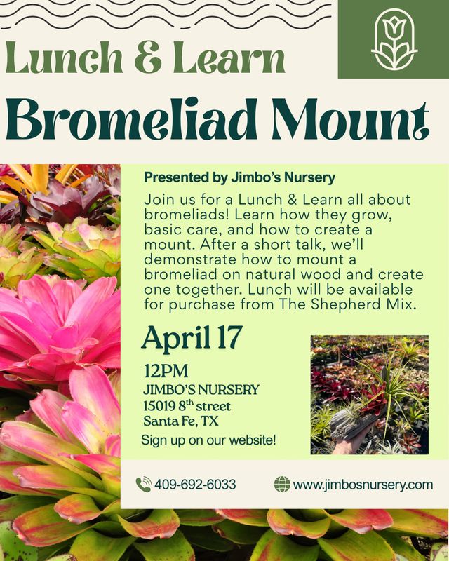 Lunch & Learn: Bromeliad Mount