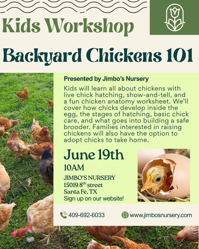 Backyard Chickens 101 Kits Workshop