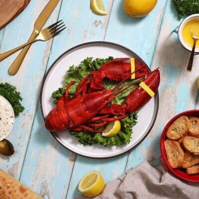 : 1.25 LB Live Maine Lobster (6 Lobsters)