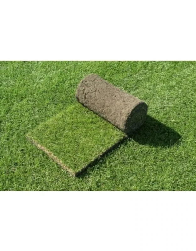 Graszode 250x40cm (1m2)