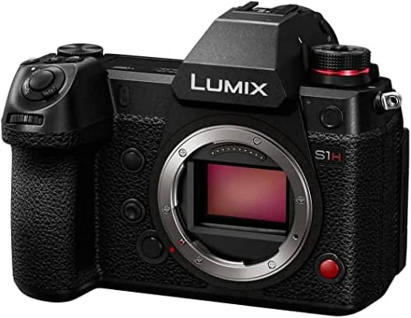 Panasonic Lumix S1H - 1300 déclenchement -