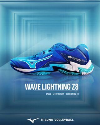 VOLLEYBALL SHOES