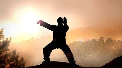 Soin complet avec les 10 pratiques   ( formule 5 jours)/Energetic care  with the 10 activities  ( 5 days)