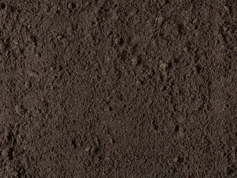 Screened Loam