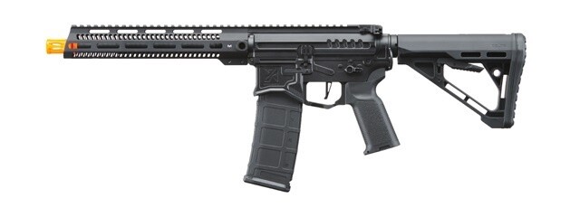 Zion Arms R-15 AEG