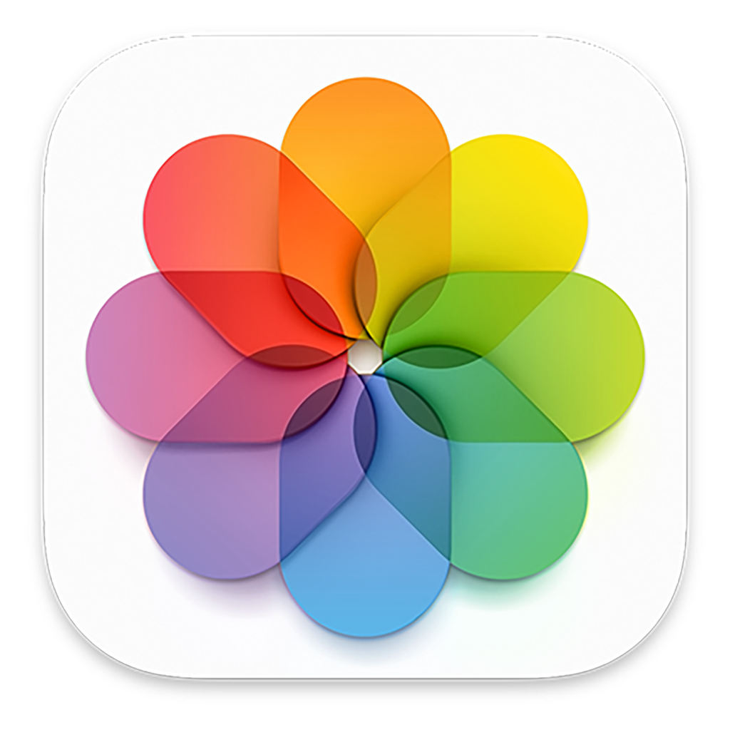 PHOTOS COURSE FEBRUARY