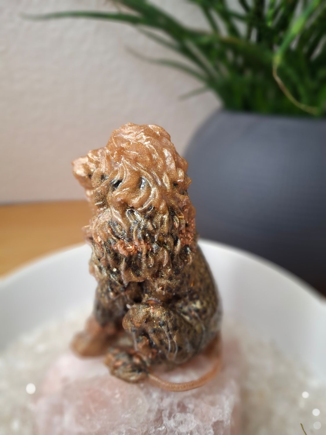 Orgonit Kraftier Löwe