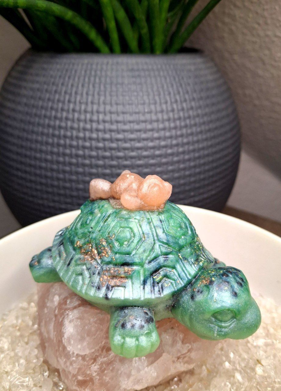 Orgonit Krafttier Schildkröte ?