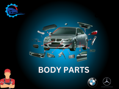 Body Parts
