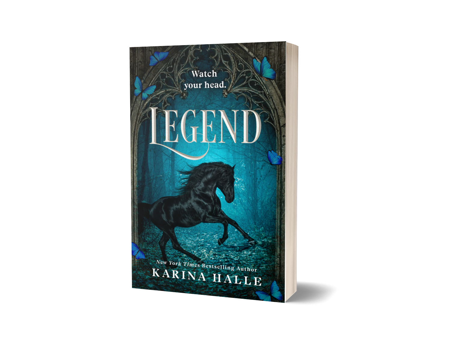 Legend-Book 2 Preorder Dec 2