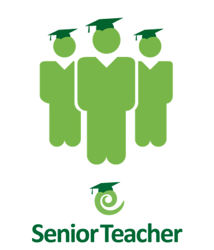 Job Description Beginning Teacher