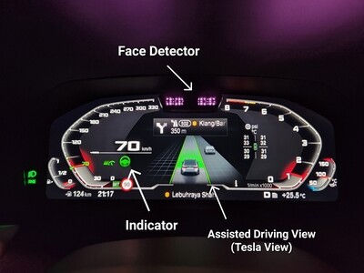 BMW Driving Assistance Professional 5AU 