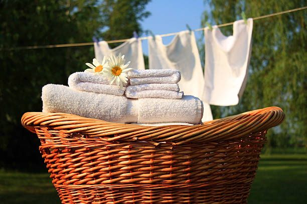Kitchen Towels &amp; Placemats