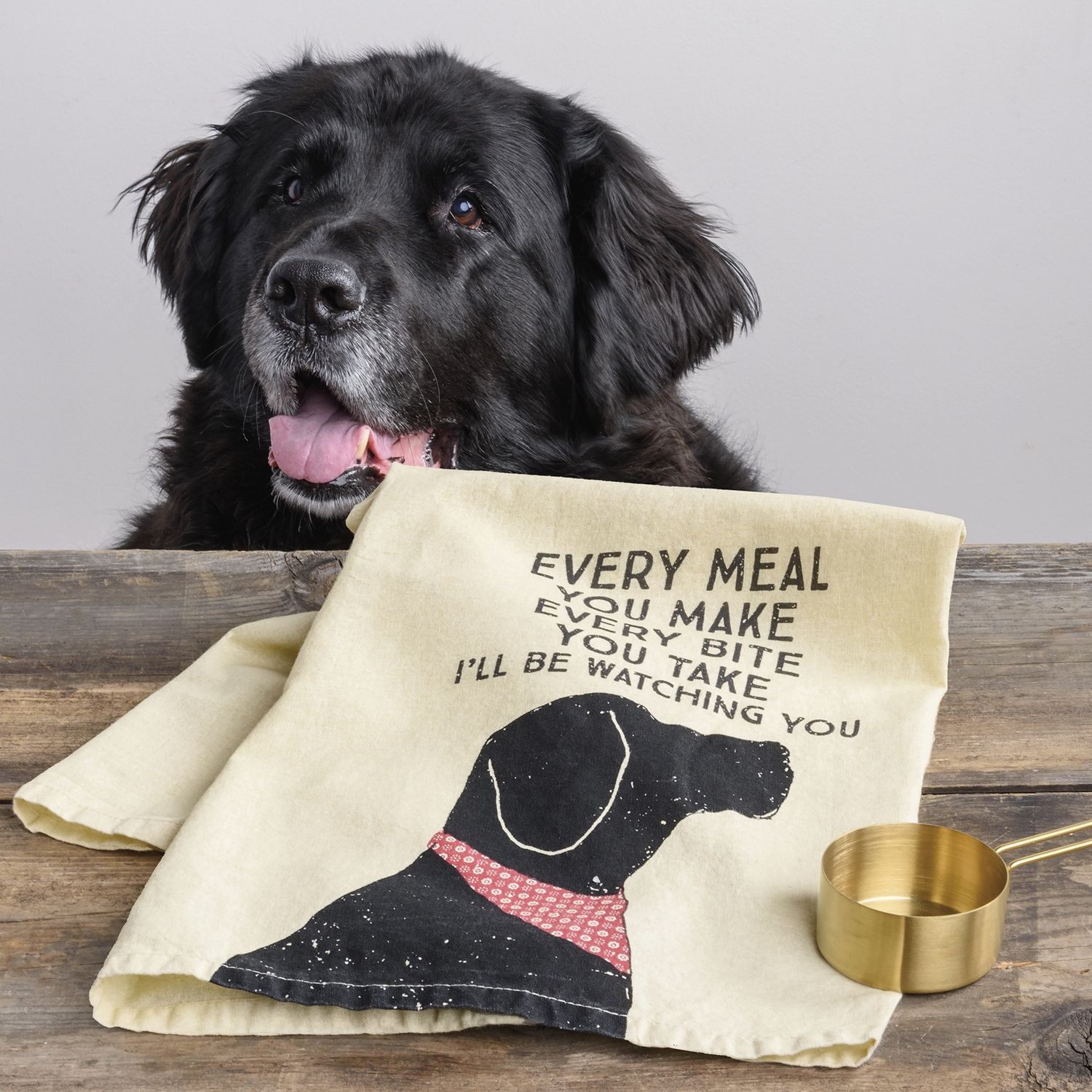 PBK Be Watching Kitchen Towel 39359