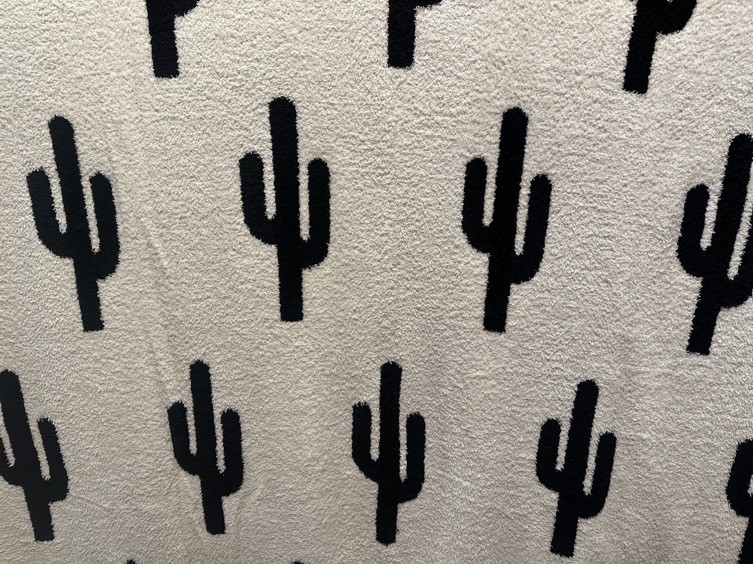 Luxury Reversible Black &amp; White Cactus Blanket
