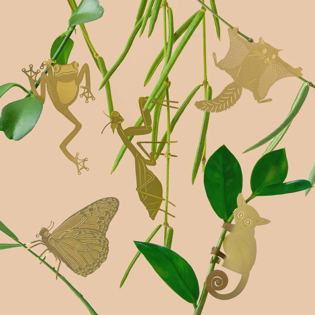 Eco-Friendly Plant Animals