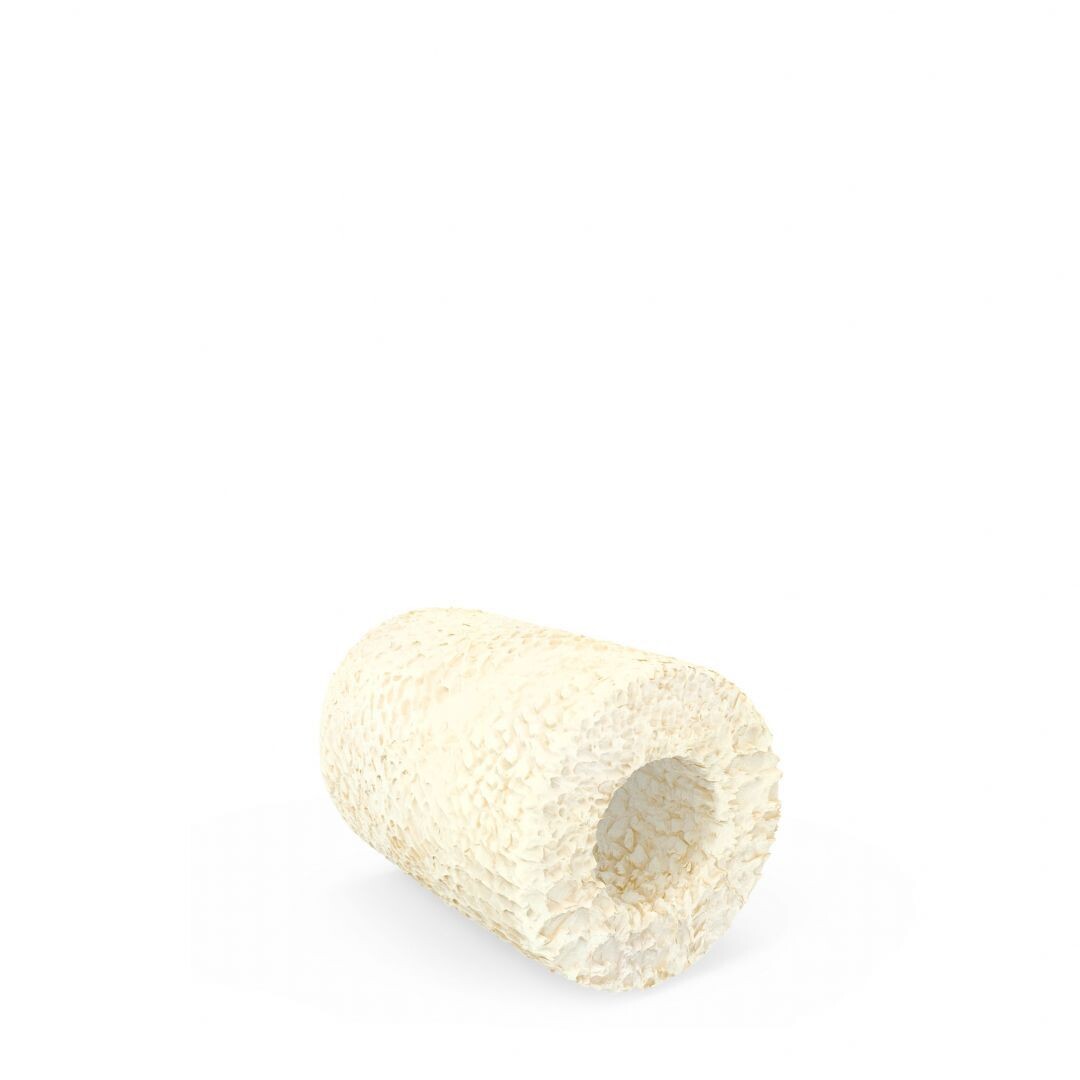 Bonefill Porous Cylinder 6x10mm