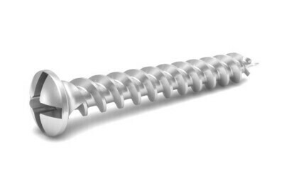 Bone Screw SMART1