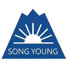 Song Yong | Capuri pentru spatula electrică