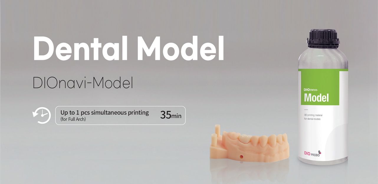 Lichid modele DIOnavi-Model 3DMODEL-1000