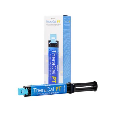 TheraCal PT 4g Dual