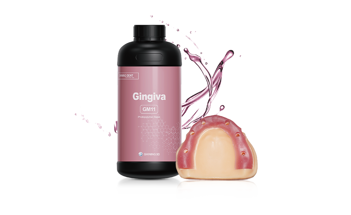 Rasina 3D | Gingie