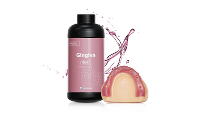 Rasina 3D | Gingie