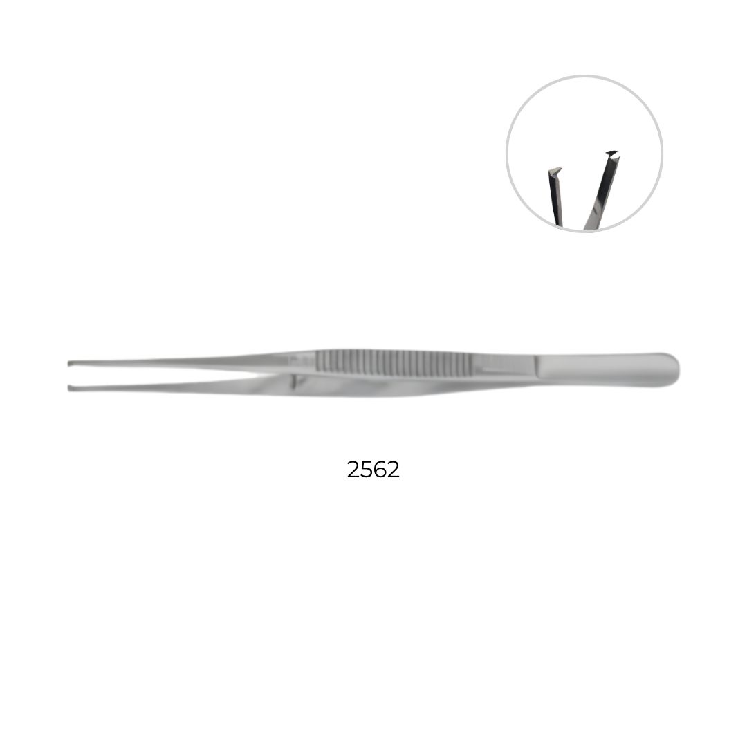 Penceta cu pinteni | 2562