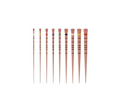 Gutta Percha 04 | 06