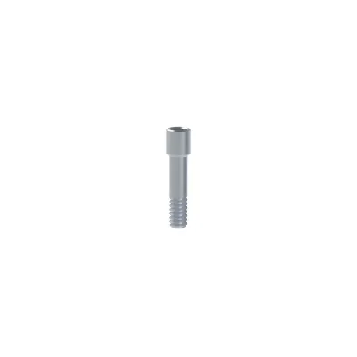 Șurub Bont | Abutment Screw