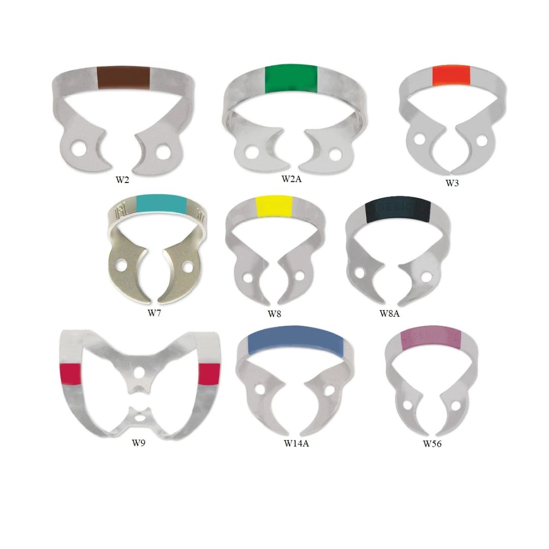 Clamere | HYGENIC FIESTA Color