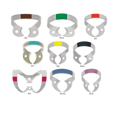 Clamere | HYGENIC FIESTA Color