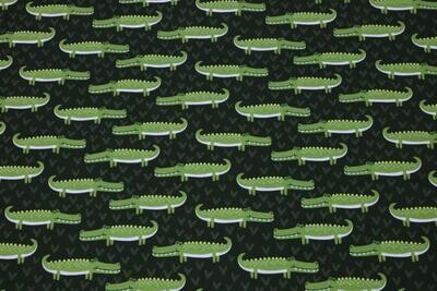 Baumwolljersey &quot;Smiling Crocodile&quot;, olive, grün