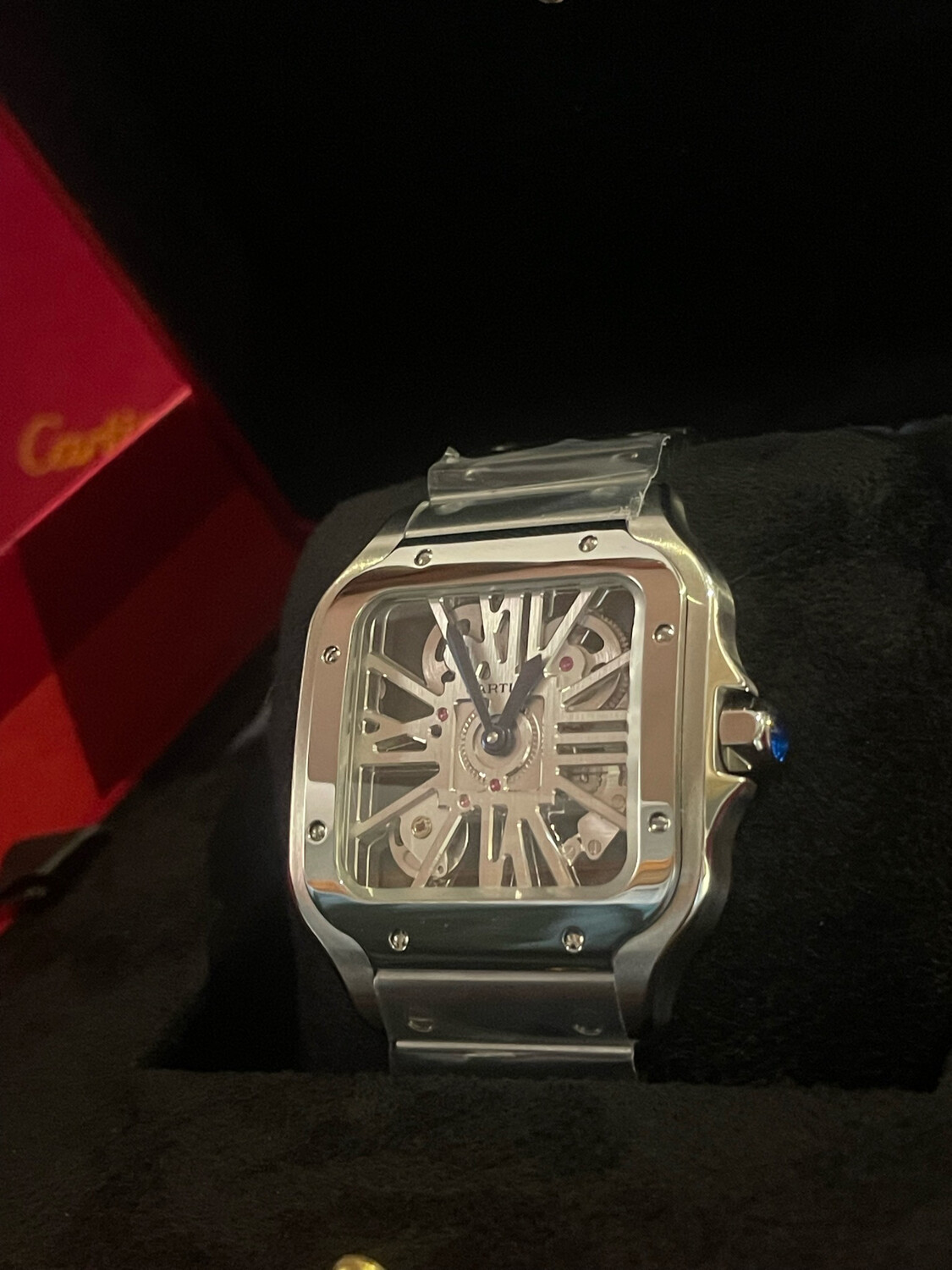 SC SANTOS DE CARTIER SKELETON 
