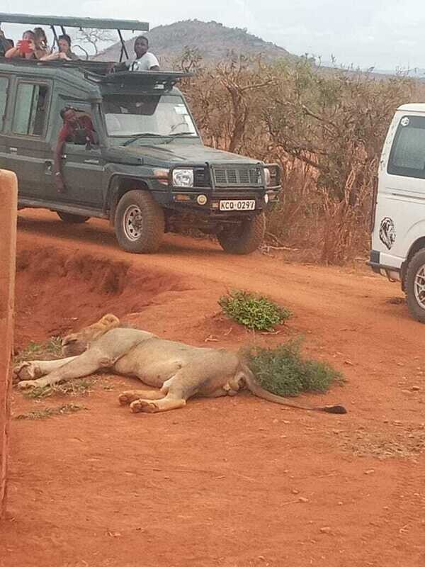 3days 2Nights Safaris in Amboseli