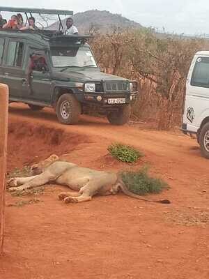 3days 2Nights Safaris in Amboseli