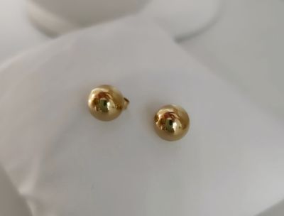 Stainless Steel Rachel Earrings (Gold color)