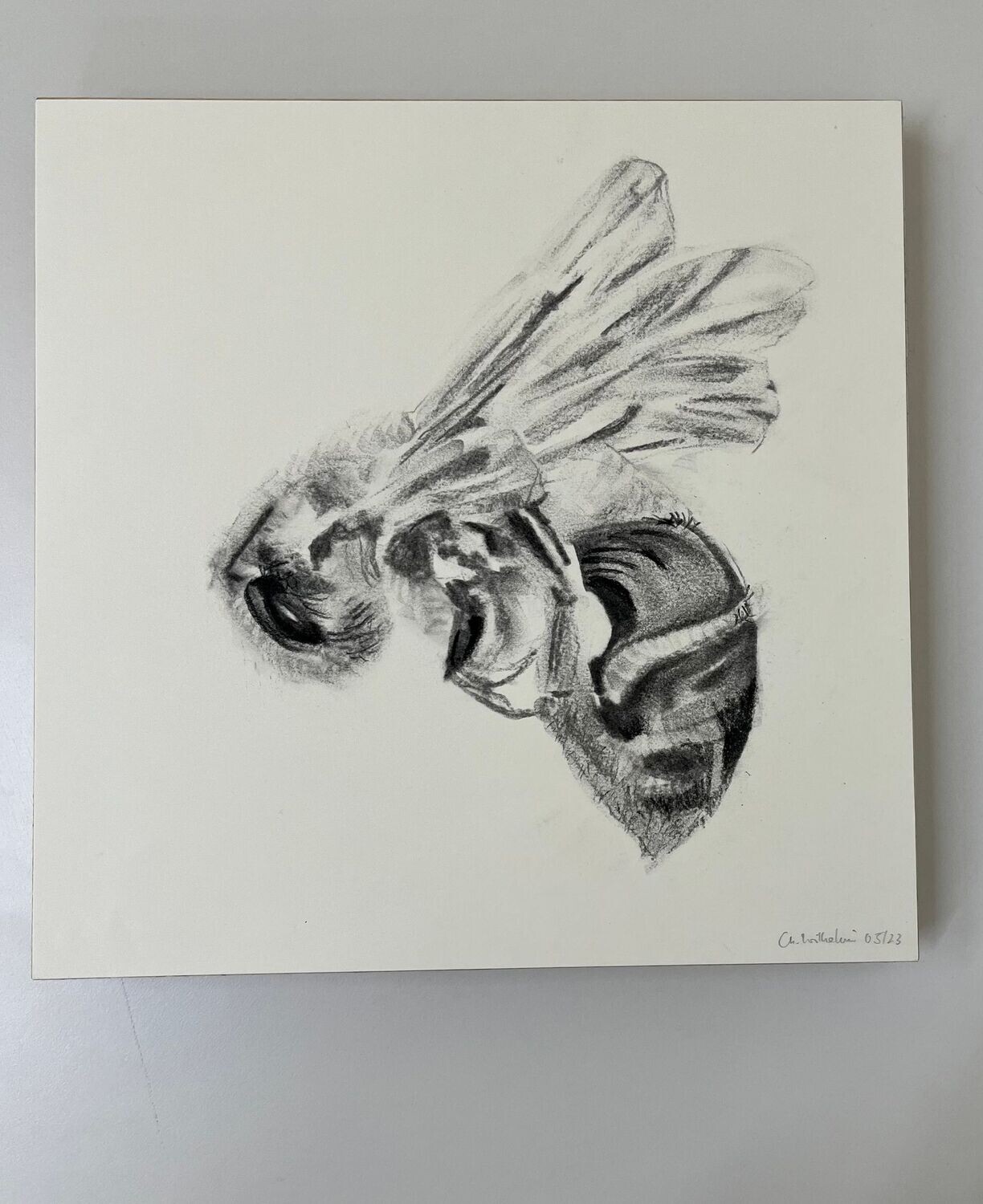 Bee_14
