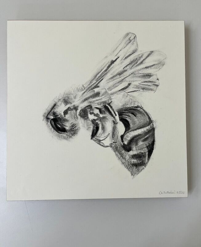 Bee_14