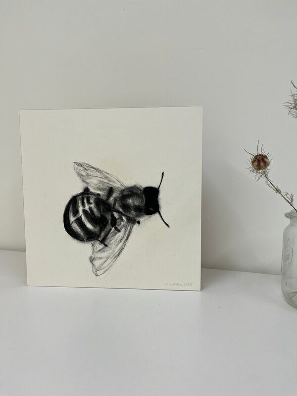 Zeichnung-Bee_23