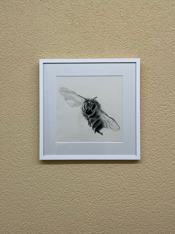 Zeichnung-Bee_18